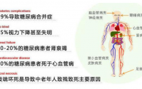 干细胞疗法在1、2型糖尿病治疗中的应用