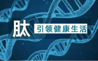 小分子肽知识科普，活性肽适合哪些人服用