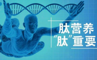 小分子肽好吗？肽的这些作用是公认的！