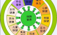 肽是细胞的基础能量源，肽在慢性病防控中不可或缺！