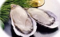 牡蛎肽-海洋生物肽的王者,凯撒大帝为牡蛎而战