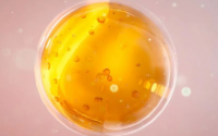 初乳碱性蛋白——给骨骼成长加上强动力！