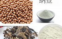 纳豆地龙蛋白肽在改善血液循环与预防血栓方面的作用研究