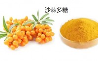 沙棘多糖改善胃肠道功能的效果如何,沙棘糖浆可以调理消化不良吗？