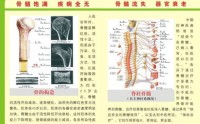 骨髓的功能和健康的关系，润养骨髓能抗衰老吗？什么可以补骨髓？