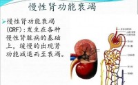 慢性肾功能衰竭的症状,慢性肾功能衰竭能自愈吗？