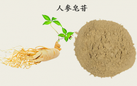 人参皂苷能改善免疫功能吗？