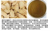 探究黄芪多糖在改善体质与促进术后恢复的作用
