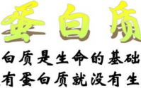 什么样的胶原蛋白肽好,为什么要选择复合胶原蛋白肽