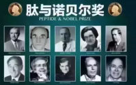 你为什么需要肽呢？补肽对身体有哪些好处