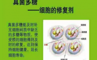 食用菌多糖与健康