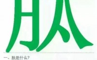 美极客小分子肽的有什么功效，小分子肽有哪几种分类？小分子肽牛骨髓批发!