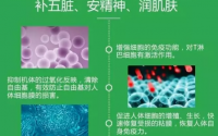 牛骨髓胶原蛋白肽的营养价值，牛骨髓肽品牌