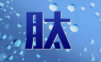 为什么说小分子肽比蛋白粉效果好呢？肽比蛋白粉的优势在哪里？