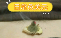 艾灸关元穴与救治癌症病人