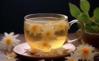菊苣栀子金花茶对痛风怎么样?服用多久能降尿酸