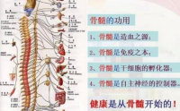 为什么说补好了骨髓也就补好了气血，骨髓与健康的关系