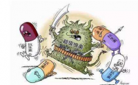 小分子肽促进药物吸收减轻“抗药性”