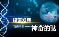 肽的流失所造成的症状，肽在人体内的作用到底有多大？