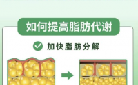 排毒减脂能帮助身体改善哪些状况,活性肽能调节脂代谢吗?
