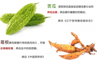 苦瓜葛根对糖尿病人群的食疗作用