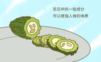 苦瓜肽降血效果怎么样,能治好糖尿病吗?