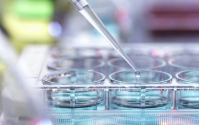 小分子肽能促进药物吸收吗？小分子活性肽与降糖药可以一起服用吗