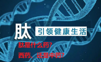 肽是什么药？是西药，还是中药？