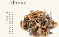 地龙蛋白肽的四个作用都和血液有关，其中一个是降低血液粘稠度