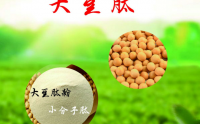 大豆肽的主要功能与作用，大豆低聚肽的生理功能及原理