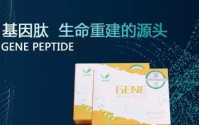 北基因肽对痛风效果好吗，多少钱一盒？
