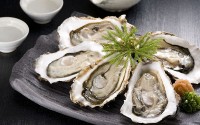 牡蛎肽粉常见功效与作用 