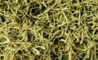 金银花与抗炎症,金银花治疗炎症的原理是什么？