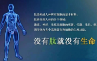 蛋白质、肽和氨基酸与人体的关系