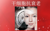 干细胞对皮肤的意义细胞再生祛斑祛皱