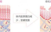 胶原蛋白肽女性健康活力的法宝！胶原蛋白肽补充优质蛋白增强身体抵抗力！