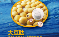 大豆肽是什么？大豆肽的特点与作用