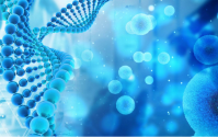 多糖对身体有哪些作用？生物活性多糖与抗肿瘤
