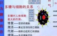 真菌多糖是不是“口服干细胞”？真菌多糖都有哪些作用功能？