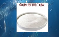 鱼胶厡蛋白肽对关节与骨骼的保护作用