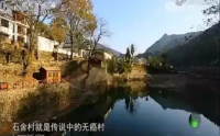央视《中华医药》探访无癌村的秘密，竟然是因为这一位常见中药！