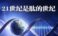 小分子肽为什么会分泌不足？补肽对身体的好处