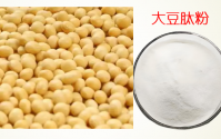 大豆肽有哪些功能,大豆肽能调理肠胃吗?