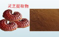 灵芝提取物能抗肿瘤吗,灵芝提取物效果如何?