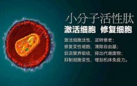 小分子活性肽到底有哪些功能？小分子活性肽对不同疾病的调理改善作用！