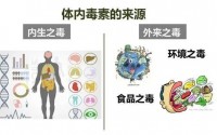 体内垃圾毒素过多有哪些表现,怎样净化血液垃圾毒素?