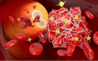 什么是枯草杆菌溶栓酶？枯草杆菌溶栓酶与纳豆激酶的不同