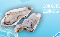 牡蛎肽能壮阳吗？牡蛎肽补肾效果怎么样？