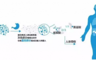 小分子肽怎么样，哪个牌子的效果好？
