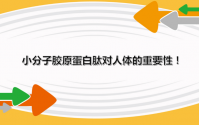 补充骨胶原蛋白肽对身体有哪些好处？